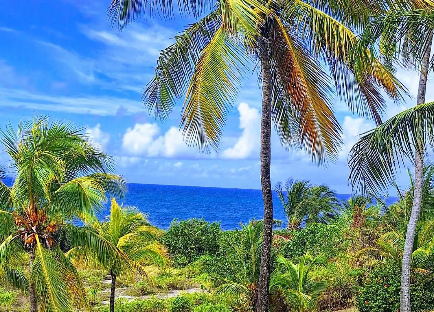 Lägenhet Ti Boubou Gwada Saint Francois, Vue Mer, Cuve A Eau, Parking Prive Guadeloupe