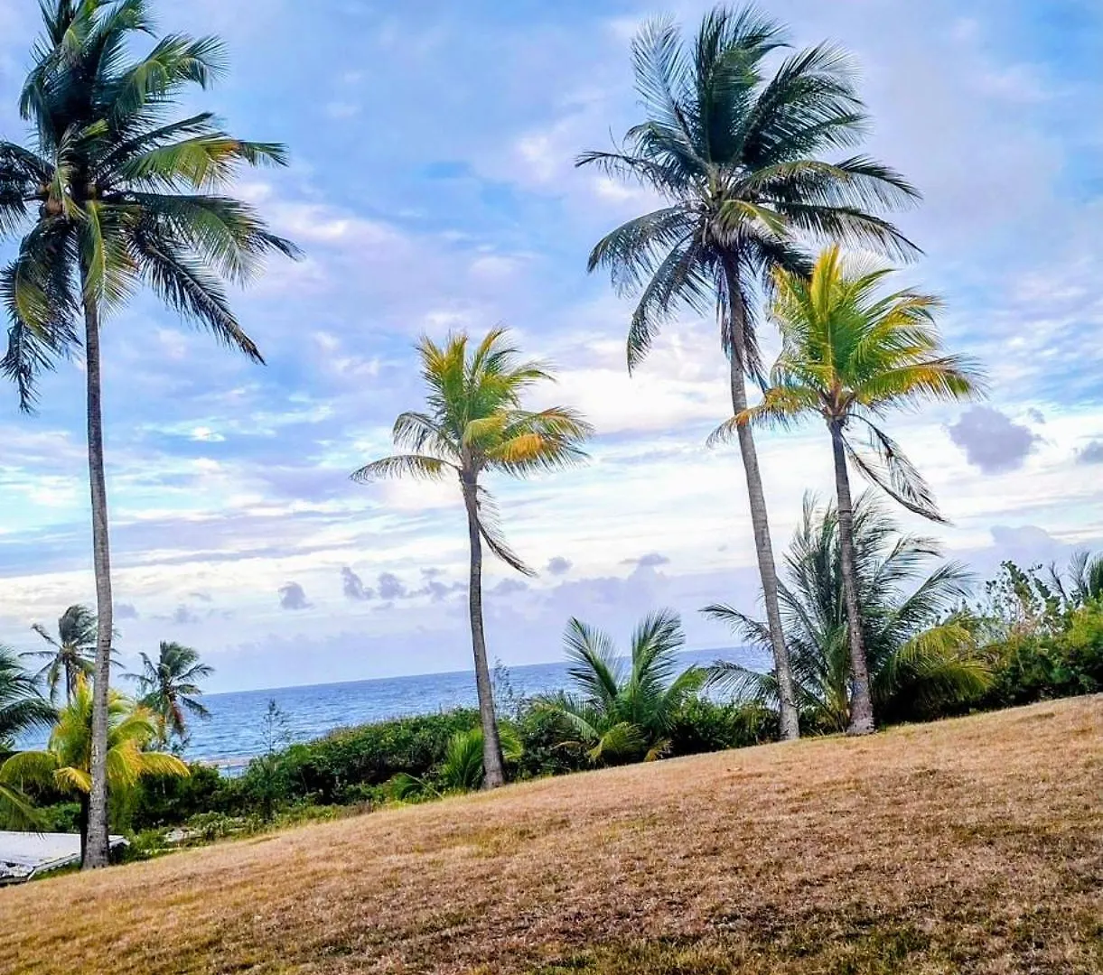 Ti Boubou Gwada Saint Francois, Vue Mer, Cuve A Eau, Parking Prive Lägenhet Saint-Francois (Grande-Terre)