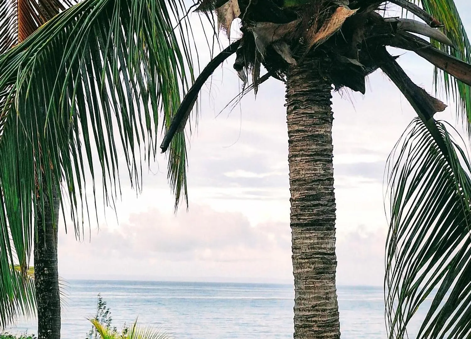 Ti Boubou Gwada Saint Francois, Vue Mer, Cuve A Eau, Parking Prive Guadeloupe